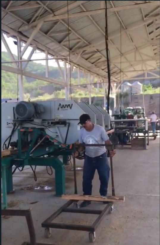 Proceso 1 - Selección de Materia Prima